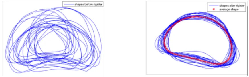 Figure 2: Illustration of manually delineated contours (a) and aligned con- con-tours with the average shape (in red) (b).