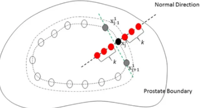 Figure 3: The gradient profile (shown in red dots) of the jth boundary point (shown in black dot)