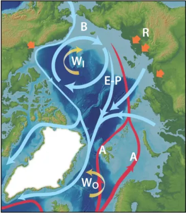 Figure 1. A schematic of circulation pathways in the Arctic Ocean and key “switches” that can perturb it