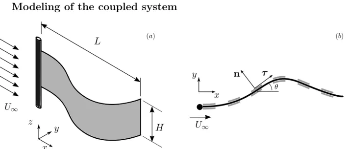 Figure 1 – (a)Flapping piezoelectric flag in a uniform axial flow and (b) its 2 dimensional view.