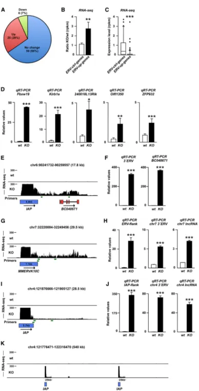 Figure 4. Activation of ERVs Influences Expression of Nearby Genes and Results in the  Expression of lncRNAs
