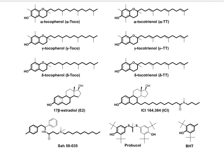 FigUre 1 | chemical structures of α-, γ-, and δ-tocopherol; α-, γ-, and δ-tocotrienol; 17β-estradiol; ici 164,384; sah 58-035; probucol; and butylated  hydroxytoluene (BhT)