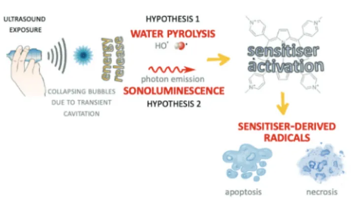 Fig. 3 Schematic illustration of the two main hypotheses concerning the underpinning mechanism of sonodynamic activity