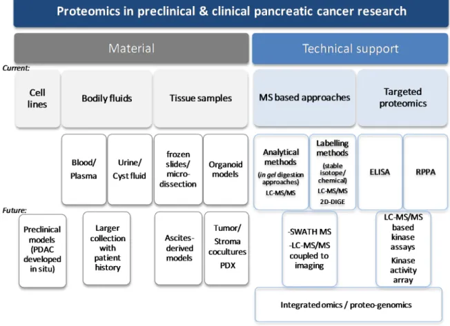 Figure 2. Major materials and technical tools used in preclinical pancreatic cancer research