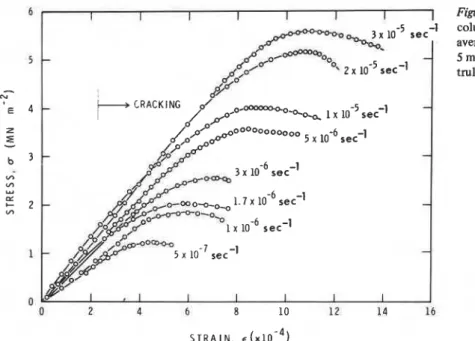 Figure  I  Stress-strain  results for  I  columnar-grained  S-2  ice  o f   average  grain  diameter  of  4  to  5  mm  at  -  10'  C  subjected  to  truly constant strain rates