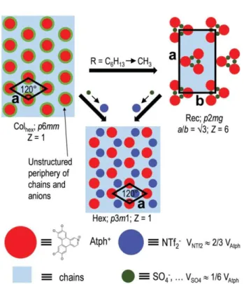 Fig. 5    Schematic  views of  the  likely supramolecular organizations. 