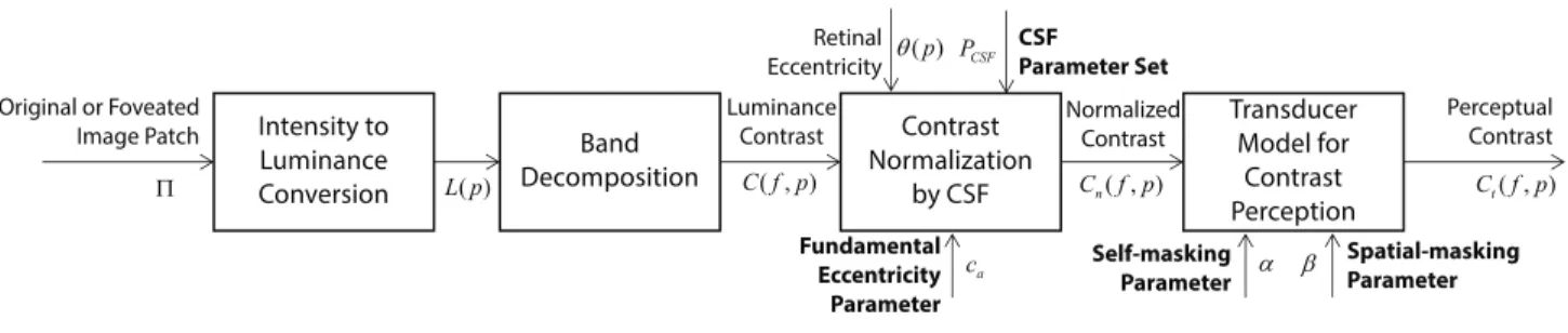 Fig. 4. This figure shows a flowchart of our model for computing the perceptual contrast measure