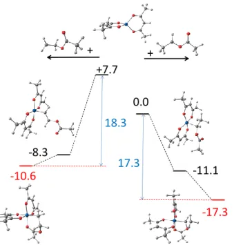 Figure 5. Relative BPW91* enthalpies and optimized geometries of the species implicated in the  deactivation process of the T and H PVAc radical models by Co(acac) 2 
