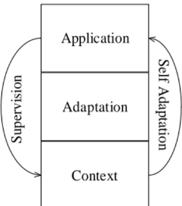 Figure 8 : Supervision vs Self Adaptation: a global vue. 