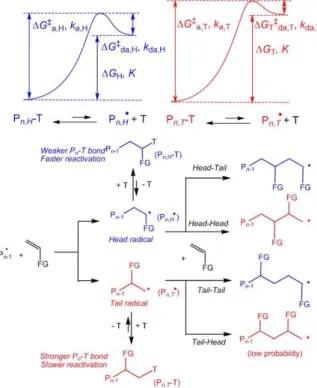 Figure 6. The problem of the inverted monomer additions for LAMs. 