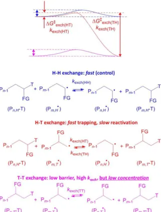 Figure 7. Mechanisms and energy profiles of the associative exchange processes involving head  and tail dormant species with head and tail radicals in controlled polymerization of asymmetric  monomers