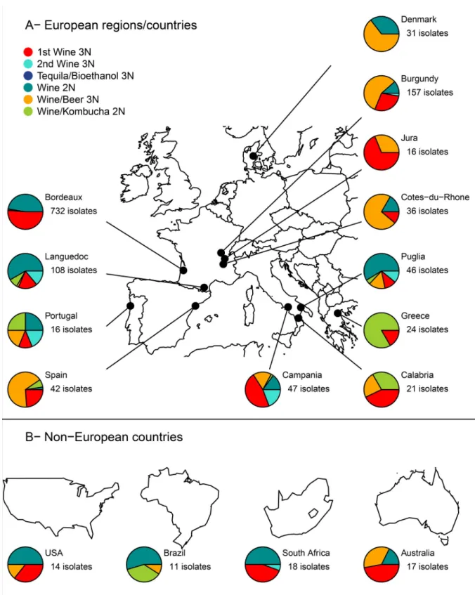 Fig 2. Genetic distribution of Brettanomyces bruxellensis wine isolates in different regions or countries