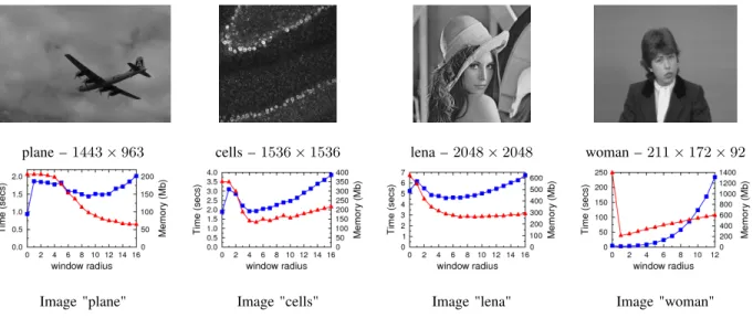 Fig. 5: Influence of window radius (bottom row) for segmenting 2D and 2D+t images (top row) with a TV+L 2 model in connectivity 1