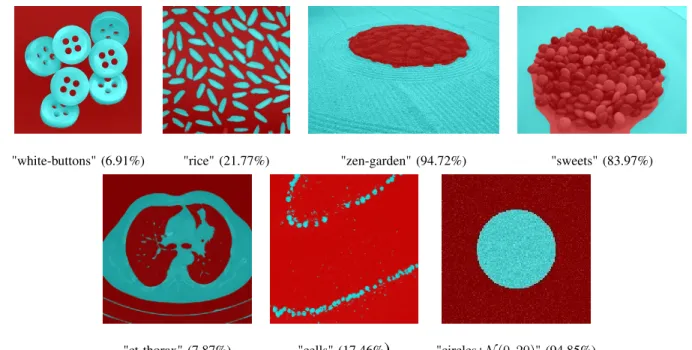 Fig. 7: Segmentation results using a TV+L 2 model in connectivity 1. The segmentation is superimposed on the original image by transparency