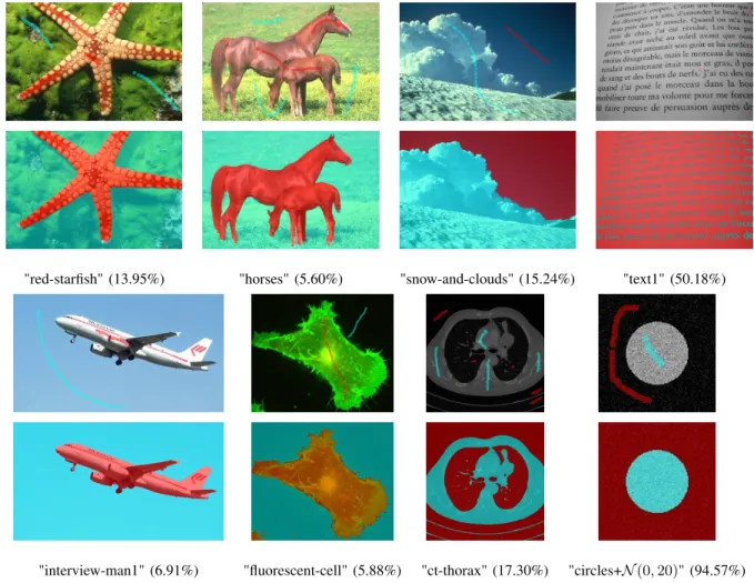 Fig. 8: Segmentation results using a Boykov-Jolly model in connectivity 1. The segmentation (bottom row) as well as seeds (top row) are superimposed on the original image by transparency.