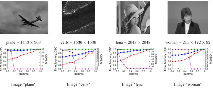 Fig. 9: Influence of the parameter γ (bottom row) for segmenting 2D and 2D+t images (top row) with a TV+L 2 model in connectivity 1