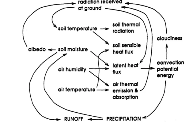 Figure  1.1  - Conceptual  diagram of the pathways through which  soil temperature,  soil moisture, near-surface  air  humidity,  and  near-surface  air temperature  mutually influence one another  (from  Brubaker,  1994).