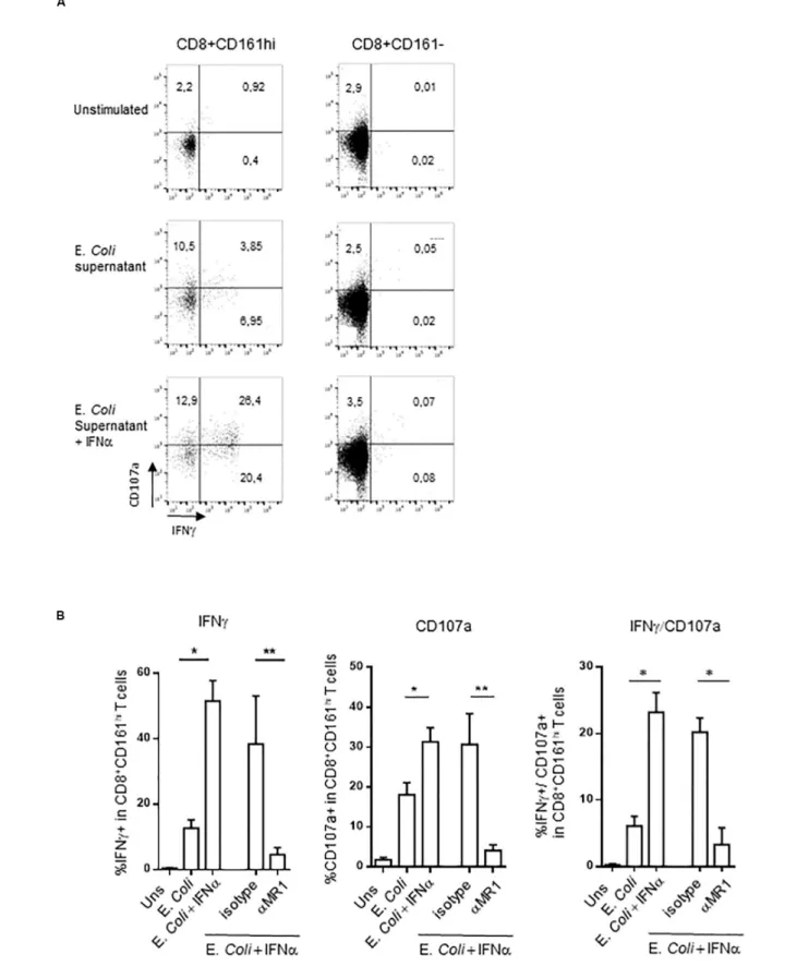 FIGURE 4 | (A) Representative flow cytometry dot plots showing membrane CD107a and intracellular IFN γ expression by CD161 hi CD8 + T cells (left) or conventional CD8 T cells (right) left unstimulated, or after stimulation with E