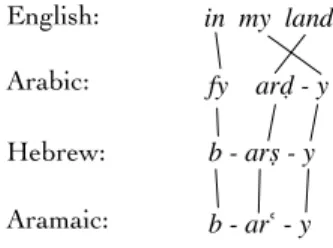 Figure 4. Morphological segmentation and alignment.