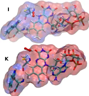 Fig. 4 Specific position of the oxygen species (in red CPK