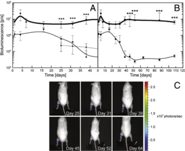 Fig. 4B shows the tendon luciferase activity after 10 min insona- insona-tion. The bioluminescence of the tendons insoni ﬁ ed with pLuc and MB present was stable for over 100 days as shown by the plateau.