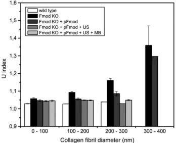 Fig. 8. Ultrastructural analysis of collagen ﬁbrils. Histograms of collagen ﬁbril diameter distributions: (A) wild type, (B) Fmod KO mice, (C) Fmod KO mice injected with pFmod alone, (D) Fmod KO mice injected with pFmod followed by ultrasound stimulation, 
