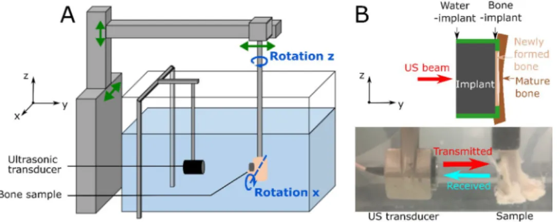 Figure 3B shows typical spatial variations of A 1,  A 2  and r as a function of the sample position