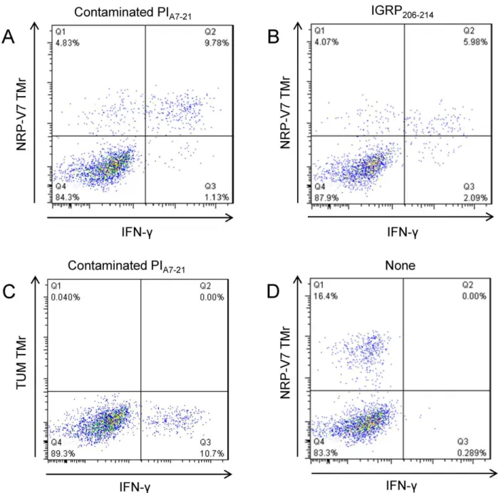 Figure 5. Islet-infiltrating CD8+ T-cells responding to contaminated PI A7-21 peptide are IGRP 206-214 -specific