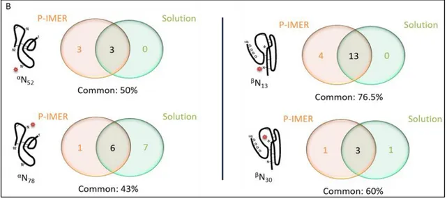 Figure 4. Comparison of the numbers of N-glycans identified on a specific glycosylation site after the  digestion of r-hCG with pepsin-based IMER and in solution