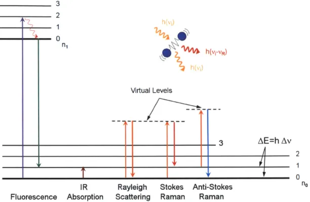 Figure  2-1:  Jablonski  diagram  describing  the  transition  of electronic  states  for various spectroscopic  modalities.