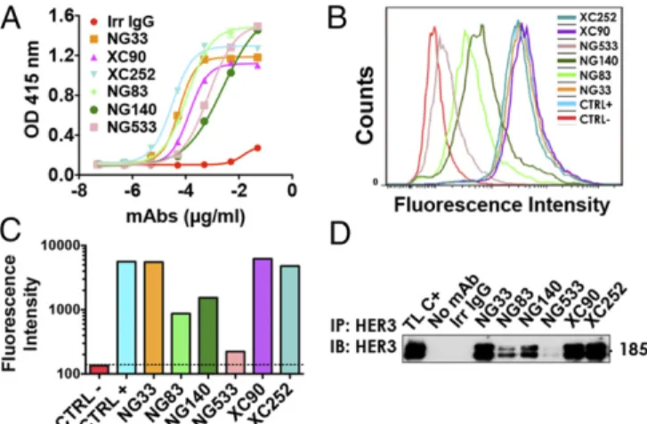 Fig. 1. A set of mAbs specifically targeting HER3. (A) The 96-well plates were coated by using a solution containing IgB3 (1.5 μ g/mL) and thereafter incubated for 1 h with the indicated mAbs