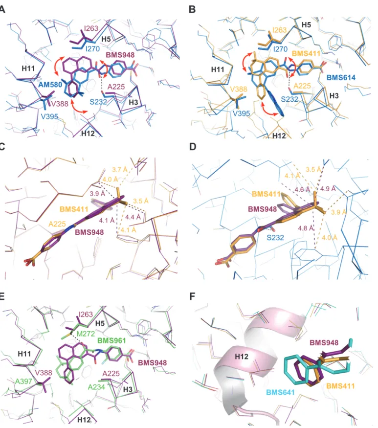 Fig 6. Structural features contributing to the RAR β -selectivity and full agonistic activity of BMS948