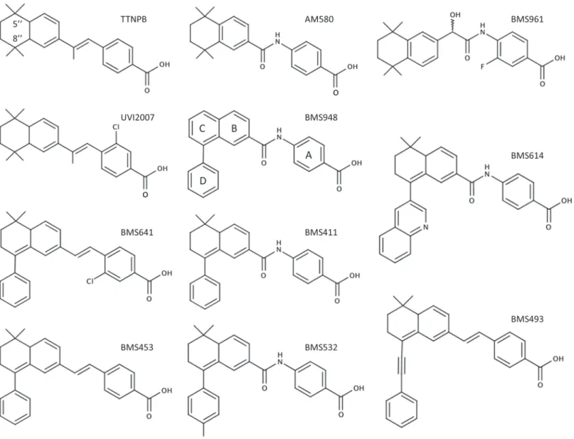 Fig 1. Chemical structures of the synthetic RAR ligands used in this study.