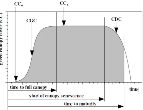 Figure 4. CLM-AG crop physiology is a transcription of the AquaCrop model (Raes et al., 2010).