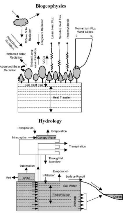 Figure 5. The biophysical and hydrological processes simulated in CLM (Oleson et al., 2004).