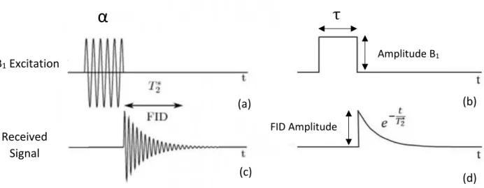 Figure 5 Graph from a sequence of excitation and reception in x-axis the time and in y-axis the amplitude (not to  scale) a) the flip angle α with the sinusoidal excitation b) the flip angle envelope c) the FID received signal after the  B 1  excitation d)