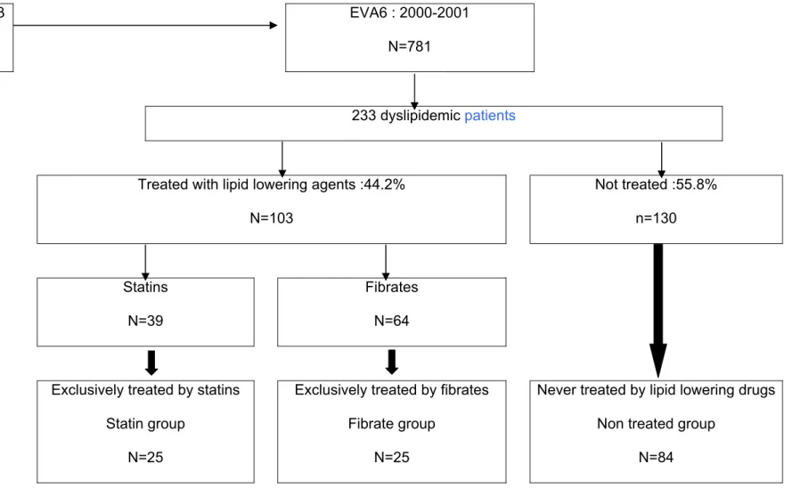 Figure 1 : Selection of the three groups of dyslipemic patients at the end of the EVA study according to their current and previous lipid lowering  drug treatment