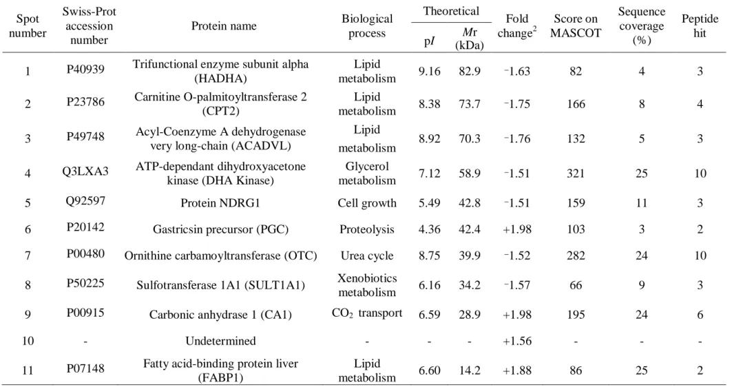 Table 1. Human duodenal mucosal proteome changes in response to leucine infusion 1