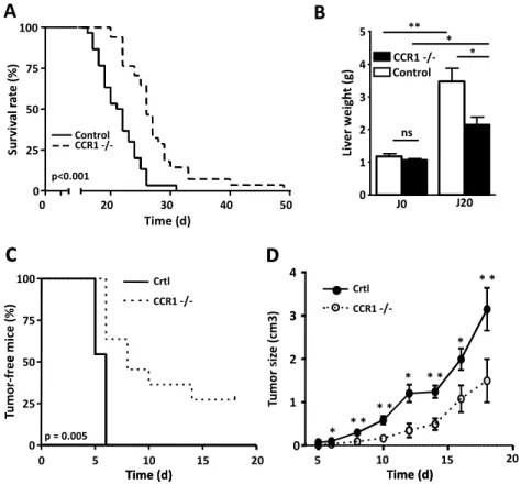 Figure 1. Lack of CCR1 reduces tumor development. (A) Survival curve of C57BL/6 control mice (solid line) or C57BL/6 CCR1 − / − mice (dotted line) injected IV with 5 × 10 5 EL-4