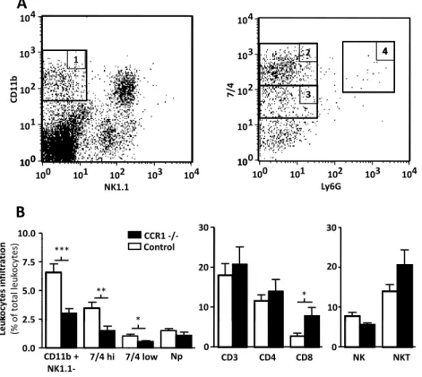 Figure 2. CCR1 deficiency alters leukocyte recruitment at the tumor site. (A) Dot plot analysis identified tumoral leukocyte subpopulation infiltrates by flow cytometry analysis: 1, myeloid cells; 2, inflammatory monocytes; 3, resident monocytes; 4, neutro