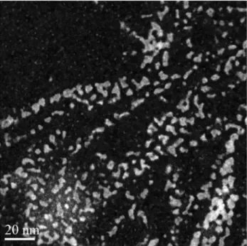 Fig. 3. STEM HAADF image of a bunch of CdO wires as  those in Fig 1. 