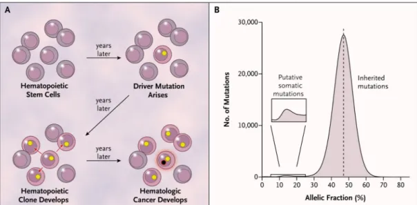 Figure 1. Clonal Expansion and Allelic Fractions