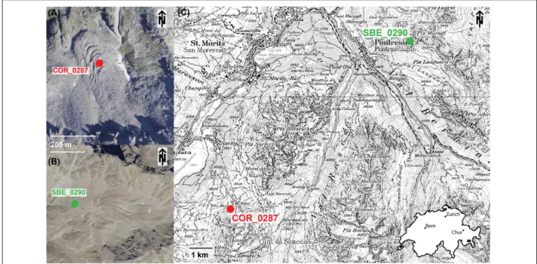 FIGURE 1 | Aerial images of the Corvatsch – Murtel (A) and the Schafberg (B) rock glacier with the location of the PERMOS boreholes, situated in the Upper Engadin valley, Eastern Swiss Alps (C)