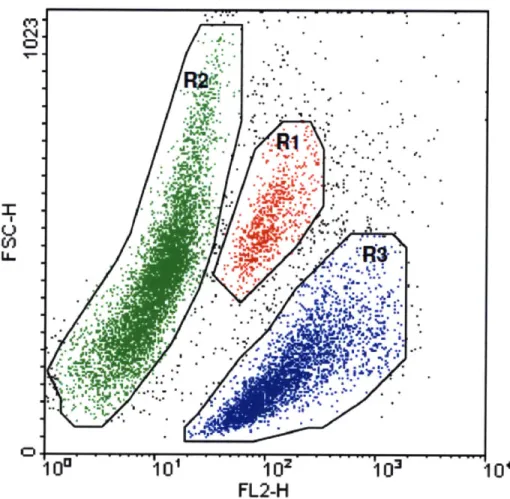 Figure  4  :  Multiparameter  analysis  methods.  By  gating  on  different  subpopulations, their  properties with regard  to several parameters  can  be determined&#34;.