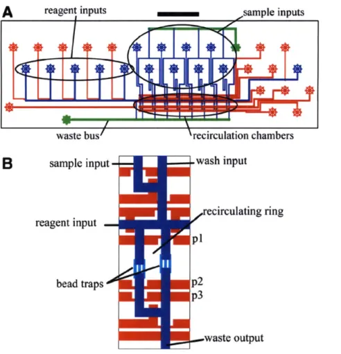 Figure 7  : Microfluidic Chip  design.  (A) Control channels are shown  in red  (23  Im height),  and flow channels are shown in  blue (13  Im height) or green  (65  Im height)