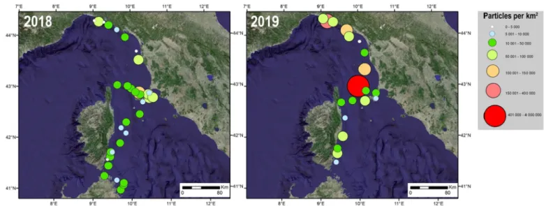 Fig. 1. Maps from the 2018 and 2019 surveys showing the sampling sites and the particle concentration (circles) expressed as number of particles per square kilometer