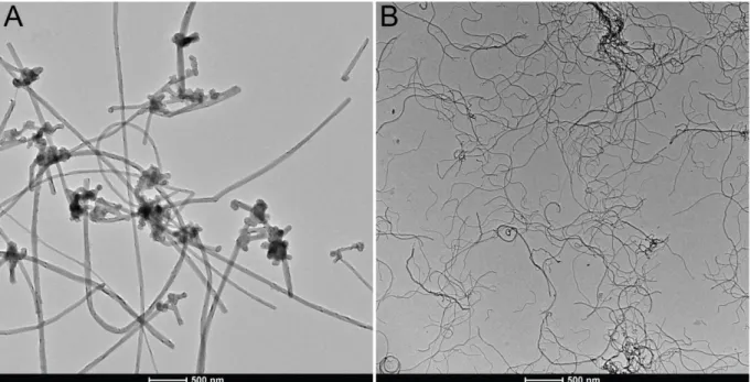 Figure S4. TEM micrographs of Mitsui-7 (A) &amp; Nanocyl (B) MWCNTs in water, highlighting the difference  in dimensions and stiffness