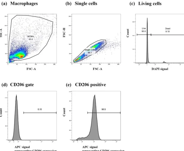 Figure S1: Gating strategy used to determine the median fluorescence intensity of CD86 and CD206 surface markers in human  monocyte-derived macrophages (MDMs)