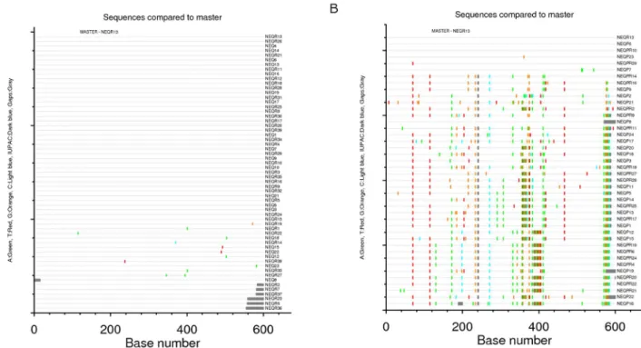 Table 4. Relationship of donor variants to recipient consensus sequence.