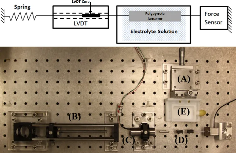 Fig. 1. Testing apparatus: The dashed lines (diagram) indicate hollow enclosures. Liquid levels in the bath were maintained above the maximum height of  the  sample